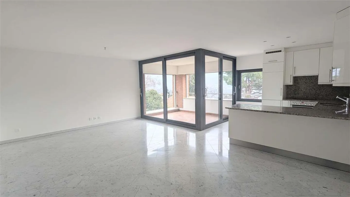 Collina D'oro, bon appartement de 3,5 pièces avec terrasse couverte - Photo 2 sur 12