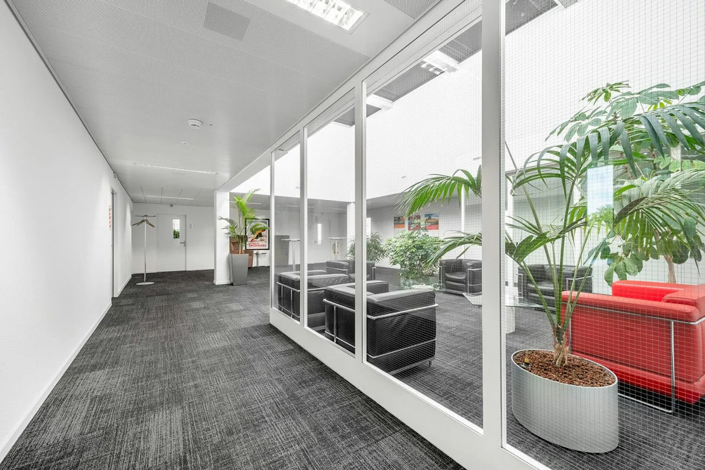 1'000 m² uffici top moderni con vista lago, ristorante... - Foto 10 di 13