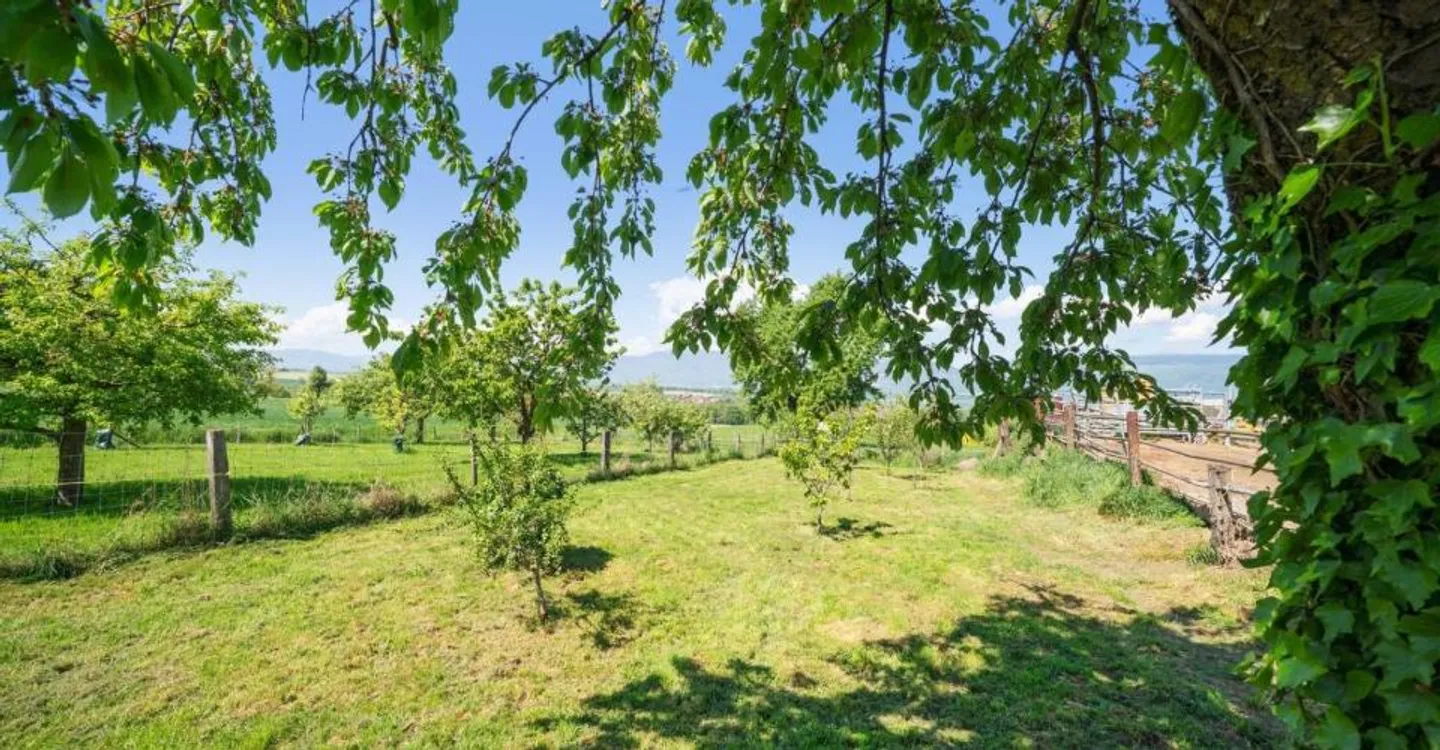 Casa familiare con ampio esterno e terrazza, vicino a Yverdon - Foto 9 di 9