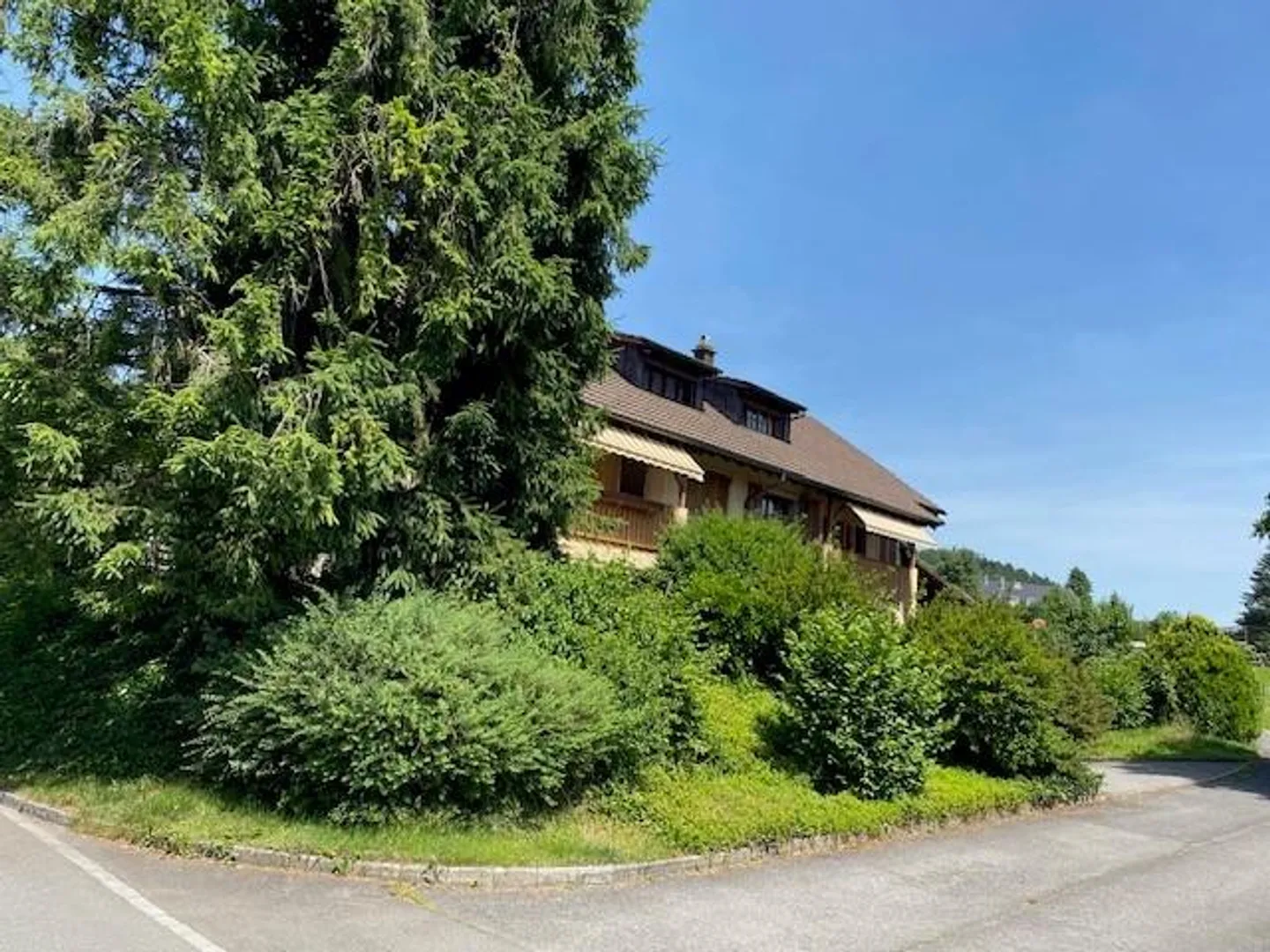 Cozy apartment in green surroundings - Photo 1 of 9