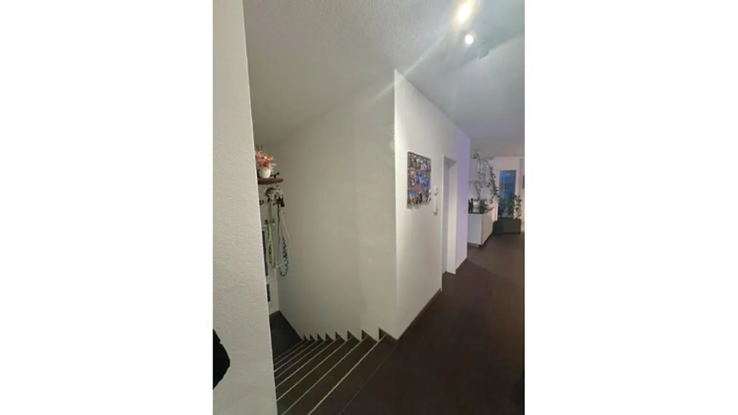 4½ ROOM APARTMENT IN BRÜTTISELLEN (ZH), FURNISHED, TEMPORARY - Photo 4 of 9