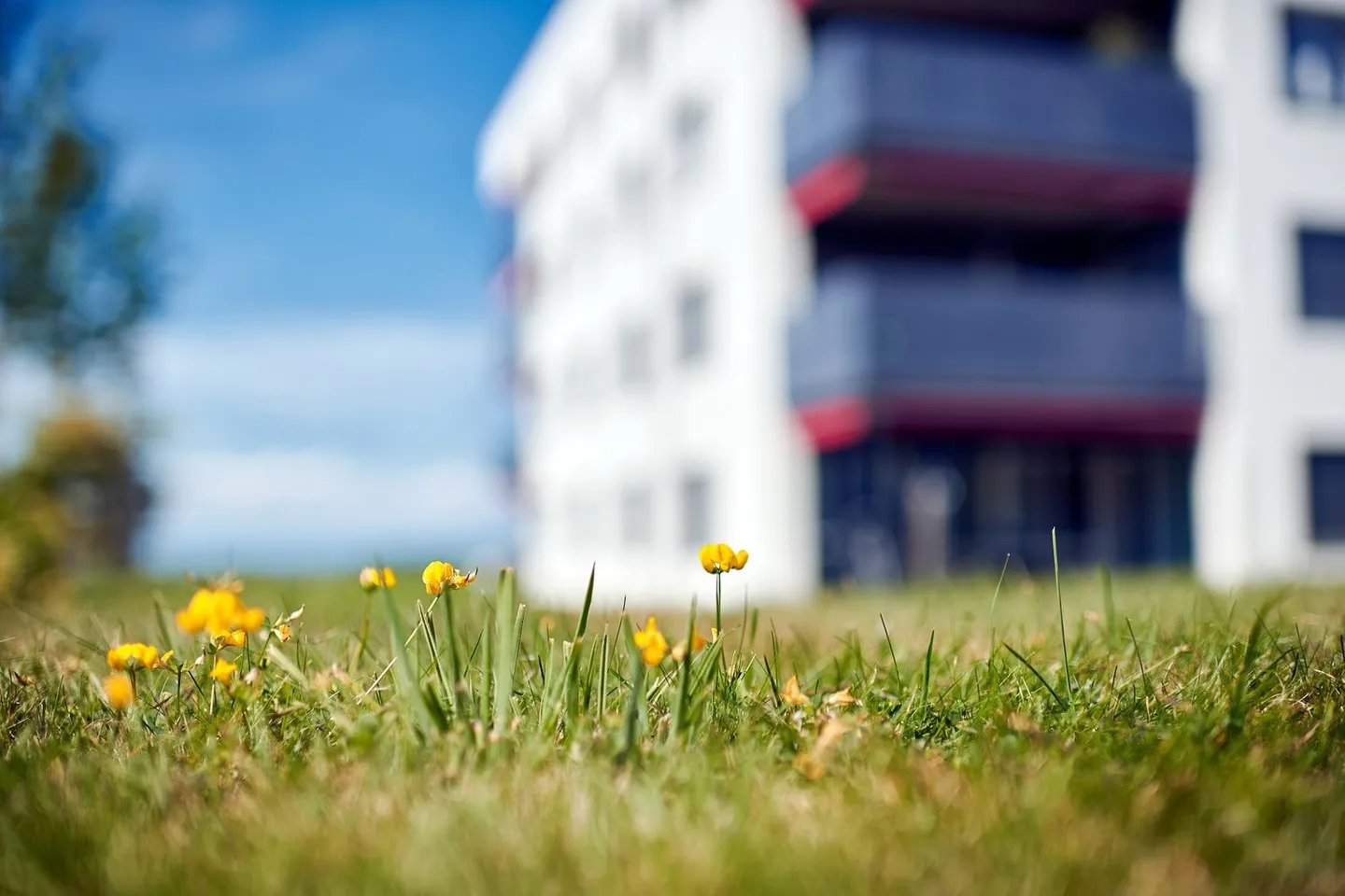 Appartamento Attico Spazioso - Foto 9 di 10