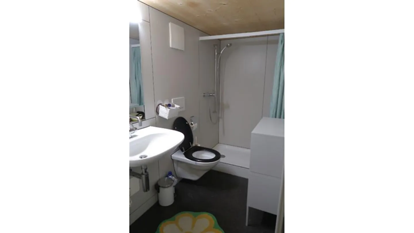 Charmante Loftwohnung in Mörschwil - Foto 5 von 10