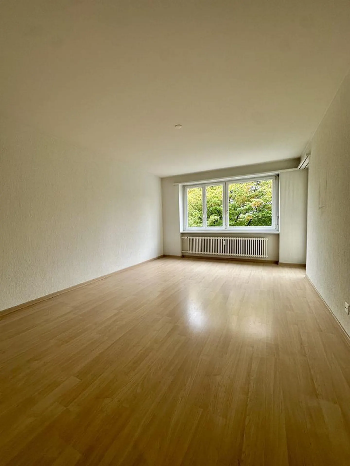 Charmante Wohnung in Wald ZH - Foto 1 von 8