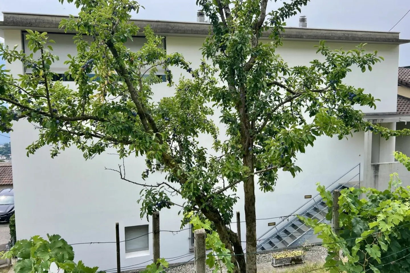 Appartamento 4,5 locali in una casa bifamiliare con vista lago a 180°, grande terrazza solare e giardino privato - Foto 45 di 50