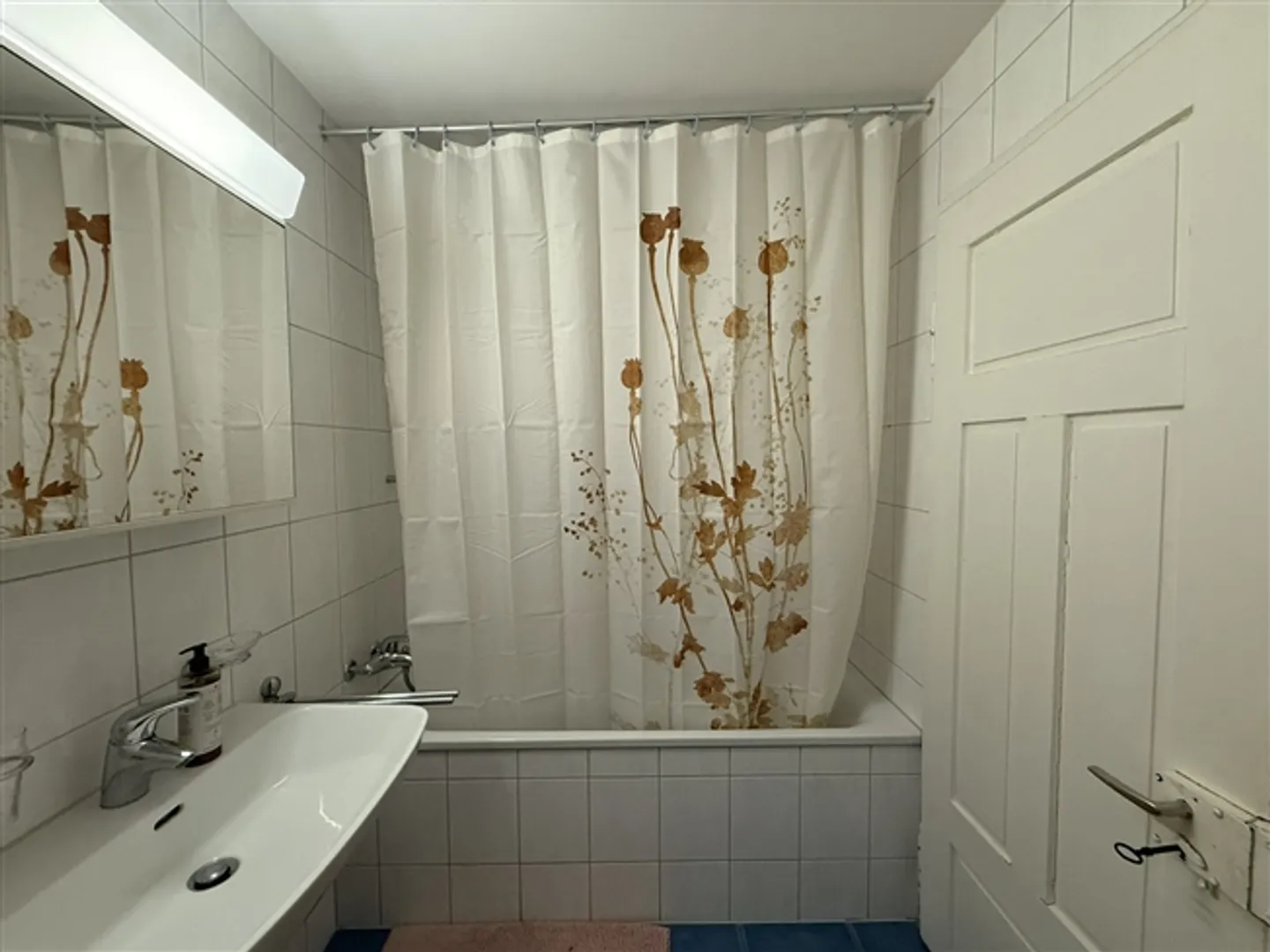 3.5-Room Furnished Apartment in Zurich Altstetten (near Zurich-Binz) - Photo 10 of 13