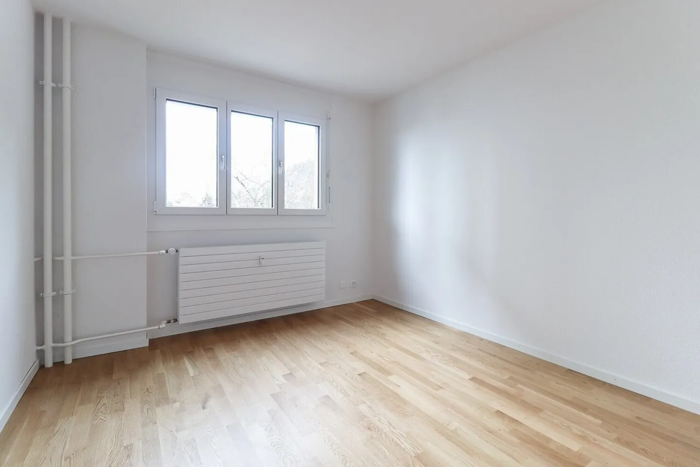 Renovated 2-Room Apartment - Photo 6 of 7