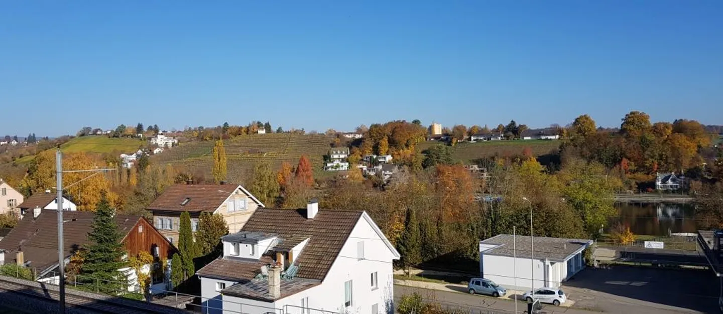 Wunderschöne Wohnung mit Rheinblick - Foto 1 von 10