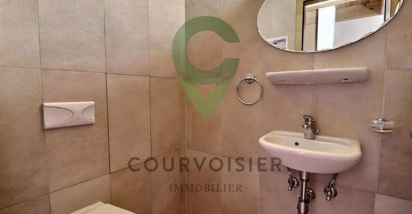 Beautiful penthouse in a renovated condominium with a view of the Alps - Photo 7 of 10