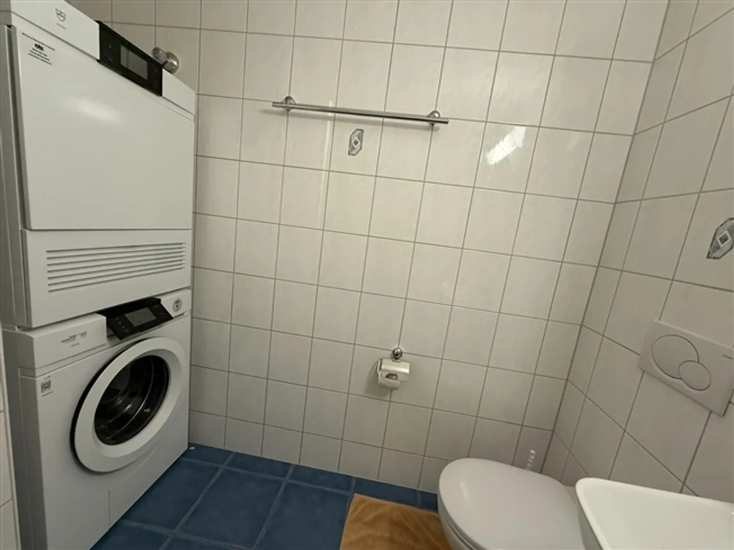 3.5-Room Furnished Apartment in Zurich Altstetten (near Zurich-Binz) - Photo 12 of 13