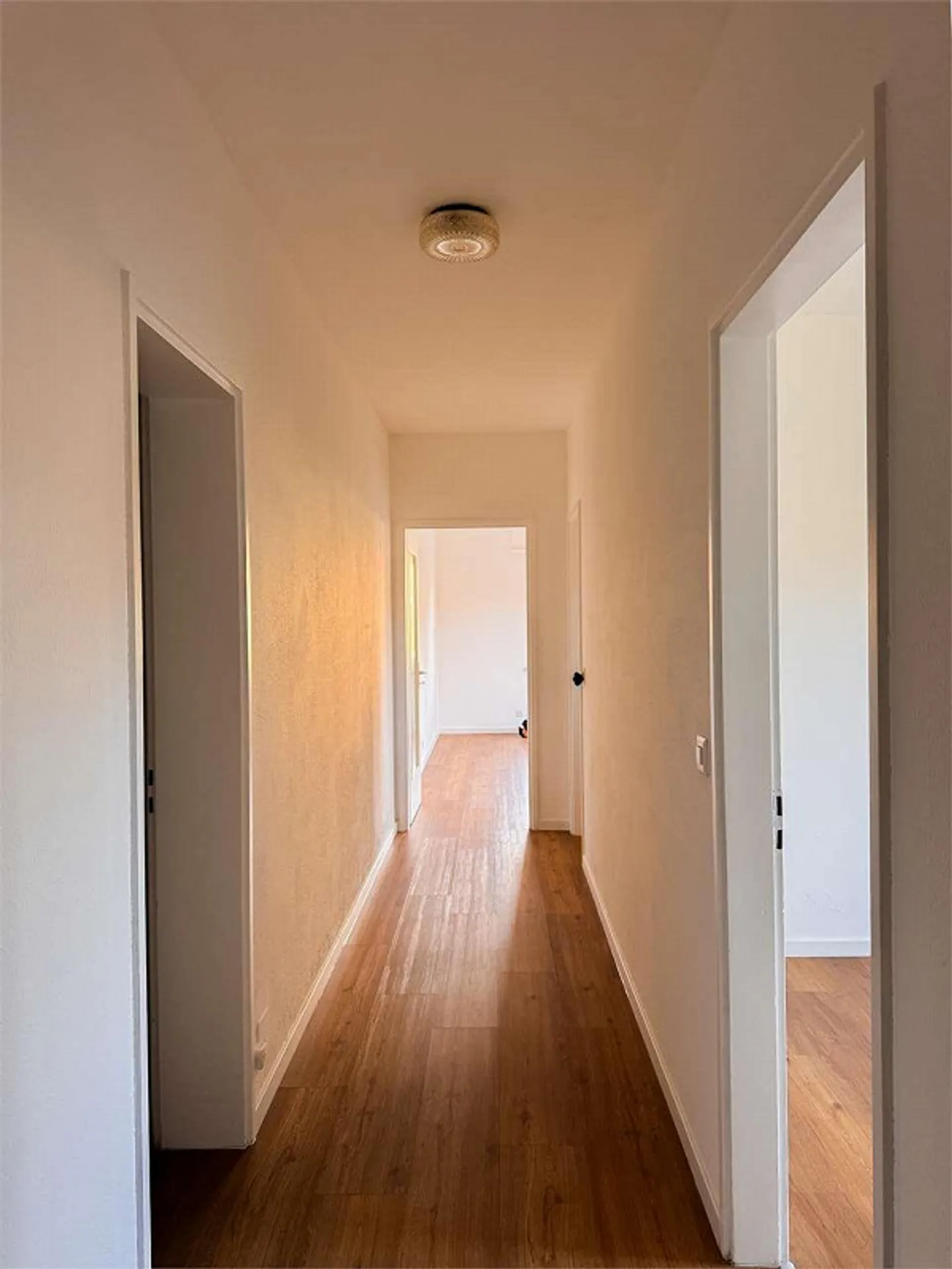 3.5 APPARTEMENT RÉNOVÉ À CASLANO - Photo 10 sur 11