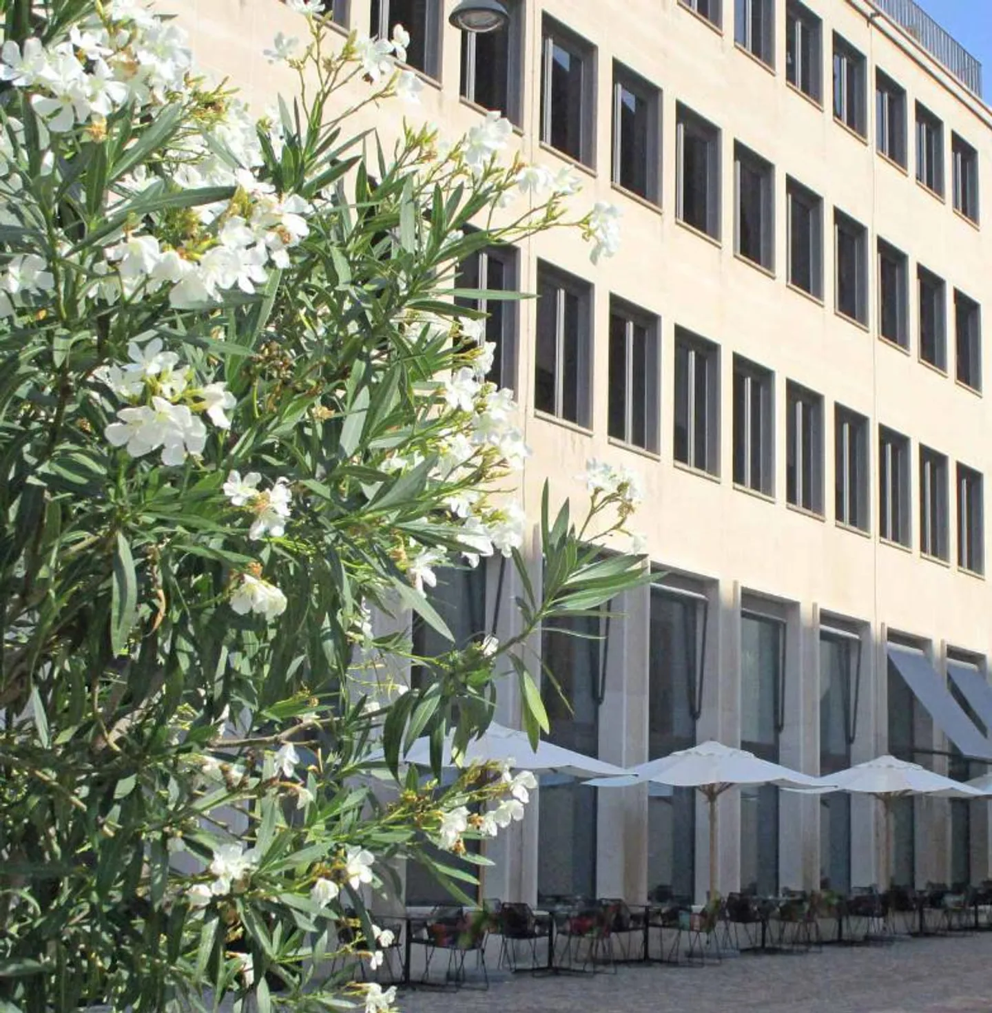 Nuovo a Basilea. Ottima ALTERNATIVA DELL'HOTEL, - per 4 persone, LOFT URBANO. - Foto 10 di 10