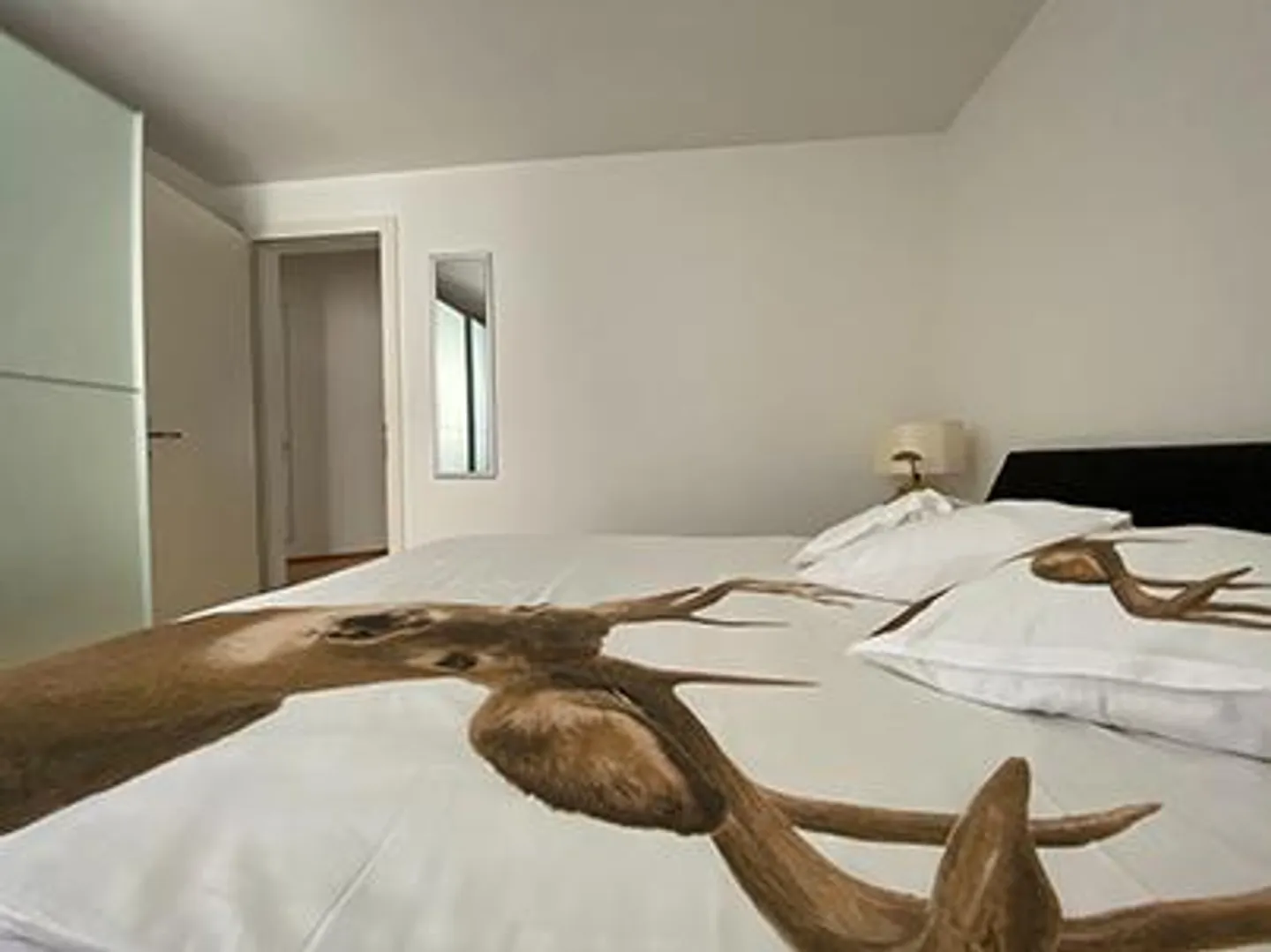 Nuovo a Basilea. Ottima ALTERNATIVA DELL'HOTEL, - per 4 persone, LOFT URBANO. - Foto 2 di 10