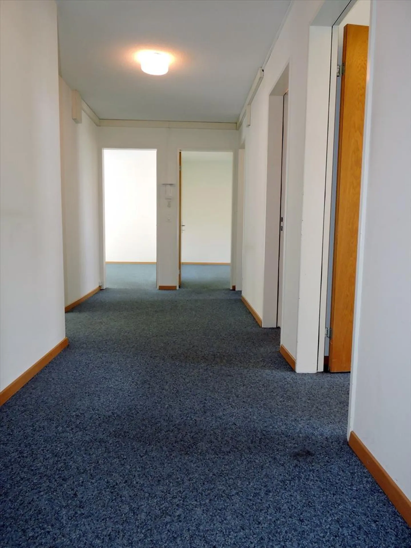 Mulbeery House - en plein centre! - Photo 6 sur 6