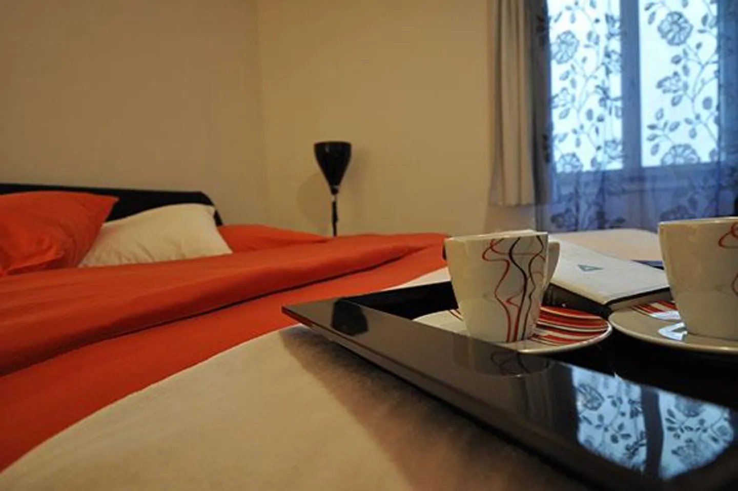 Nuovo a Basilea. Ottima ALTERNATIVA DELL'HOTEL, - per 4 persone, LOFT URBANO. - Foto 5 di 10