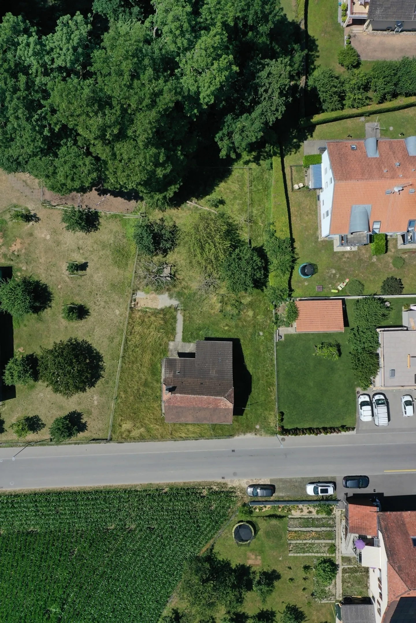 Bientôt
Trois villas individuelles conçues par l'architecte - Photo 1 sur 1