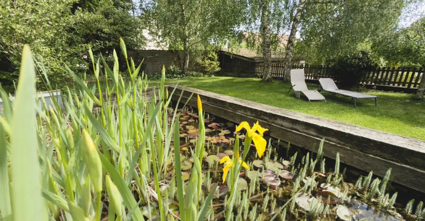 Charming village house with 2 apartments - Photo 4 of 13