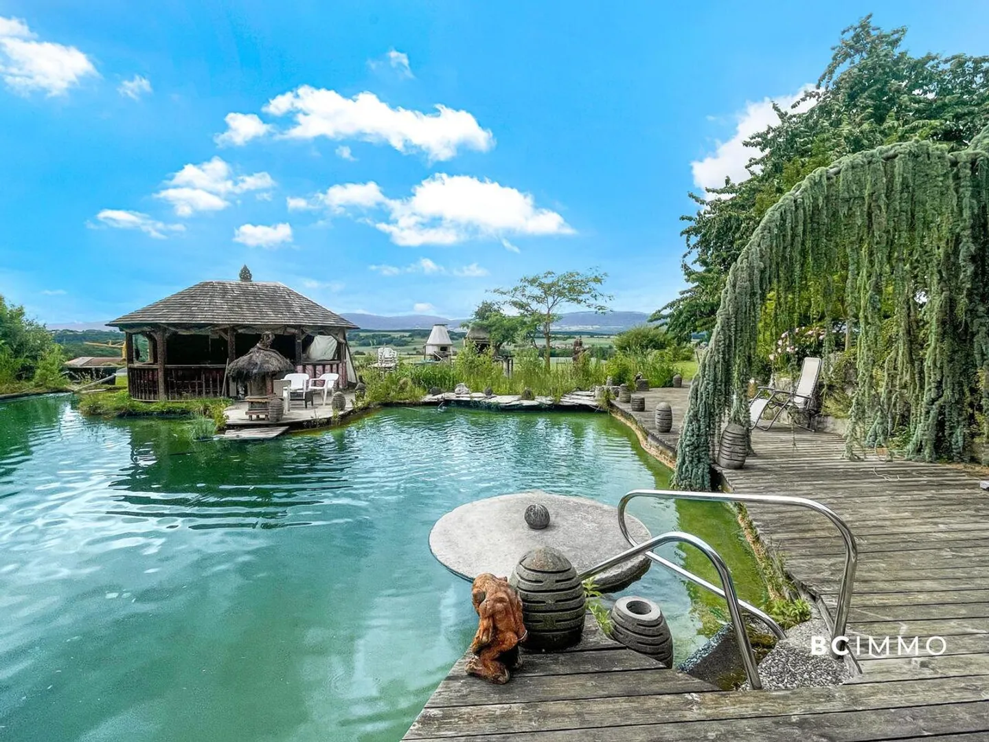 Extraordinary property on the outskirts of Lausanne - Photo 7 of 10