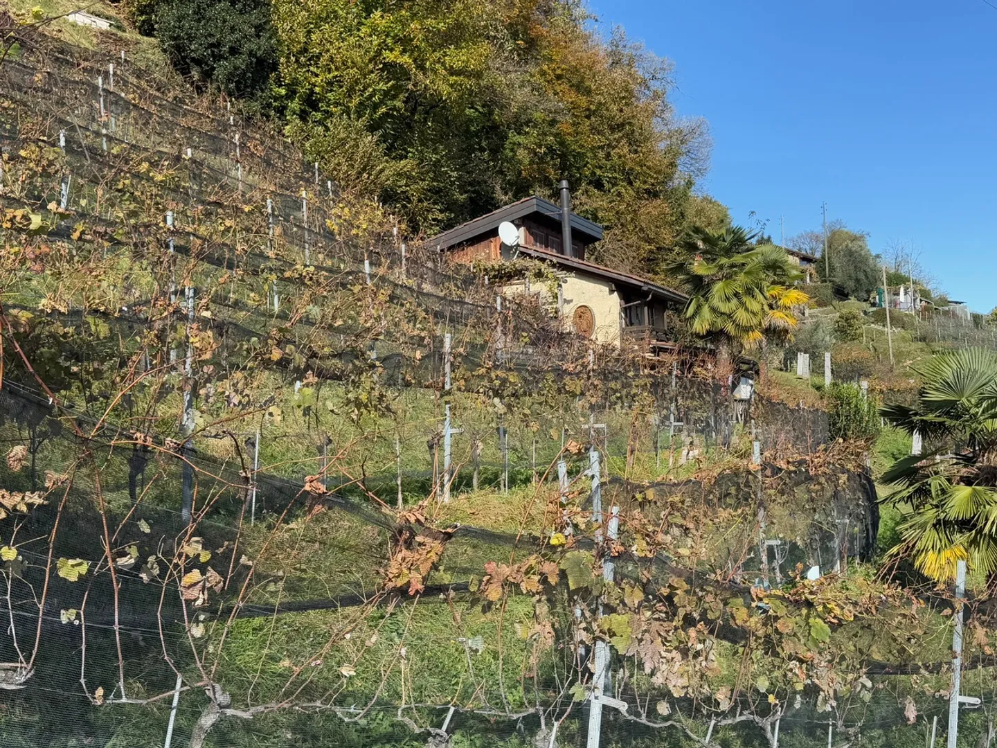 REBBERG HOUSE - RUSTIC - Photo 3 of 13