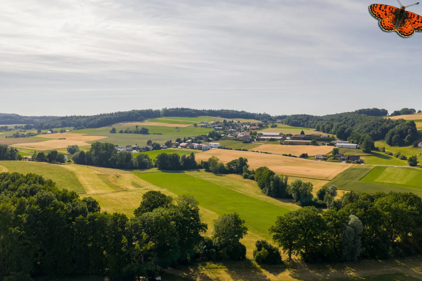 Building plot for sale in La Sonnaz - Photo 3 of 4