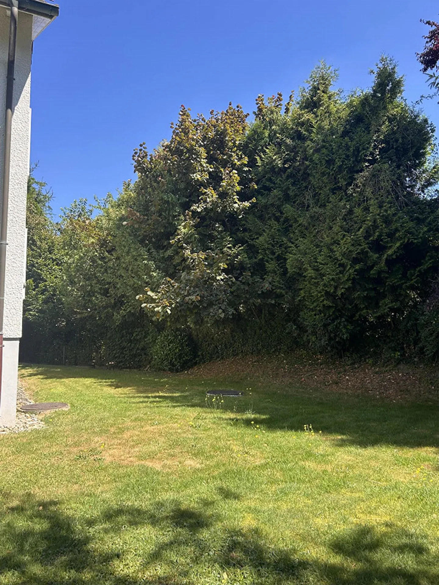 Appartement 1 pièce confortable et ouvert dans un quartier résidentiel calme - Photo 2 sur 14