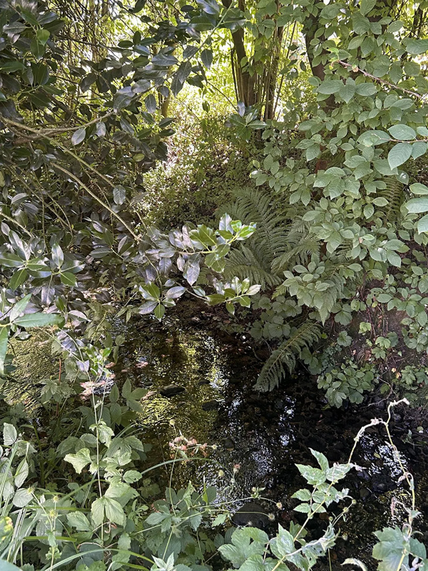 Appartement 1 pièce confortable et ouvert dans un quartier résidentiel calme - Photo 3 sur 14