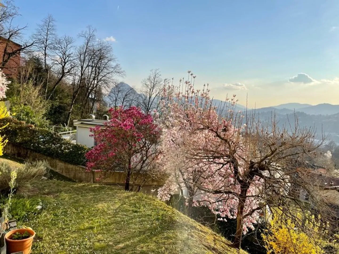 Wohnung 3.5 Zimmer komplett renoviert - Foto 9 von 12