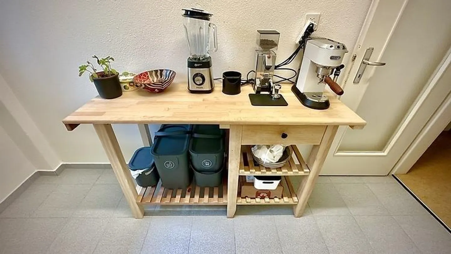 2 ROOM APARTMENT IN BERN - BREITENRAIN, FURNISHED, TEMPORARY - Photo 3 of 9