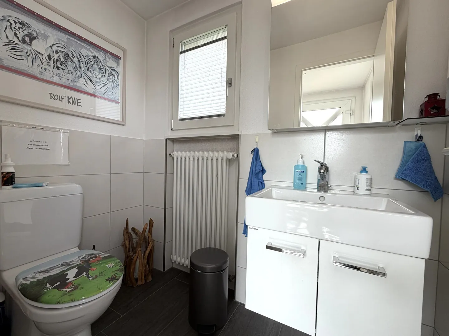 For Sale: Beautiful, Well-Maintained Detached House - Photo 4 of 18