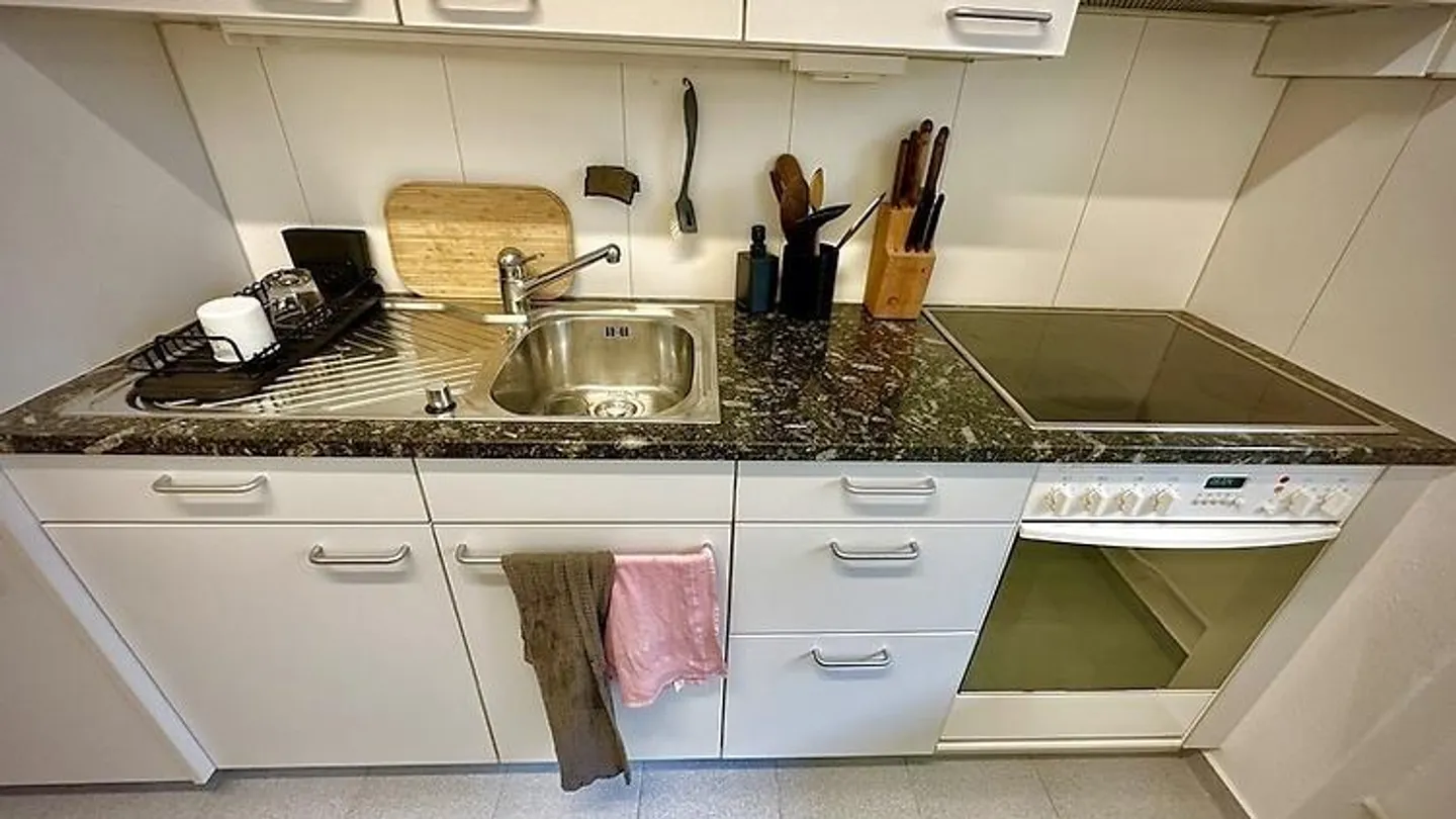 2 ROOM APARTMENT IN BERN - BREITENRAIN, FURNISHED, TEMPORARY - Photo 4 of 9