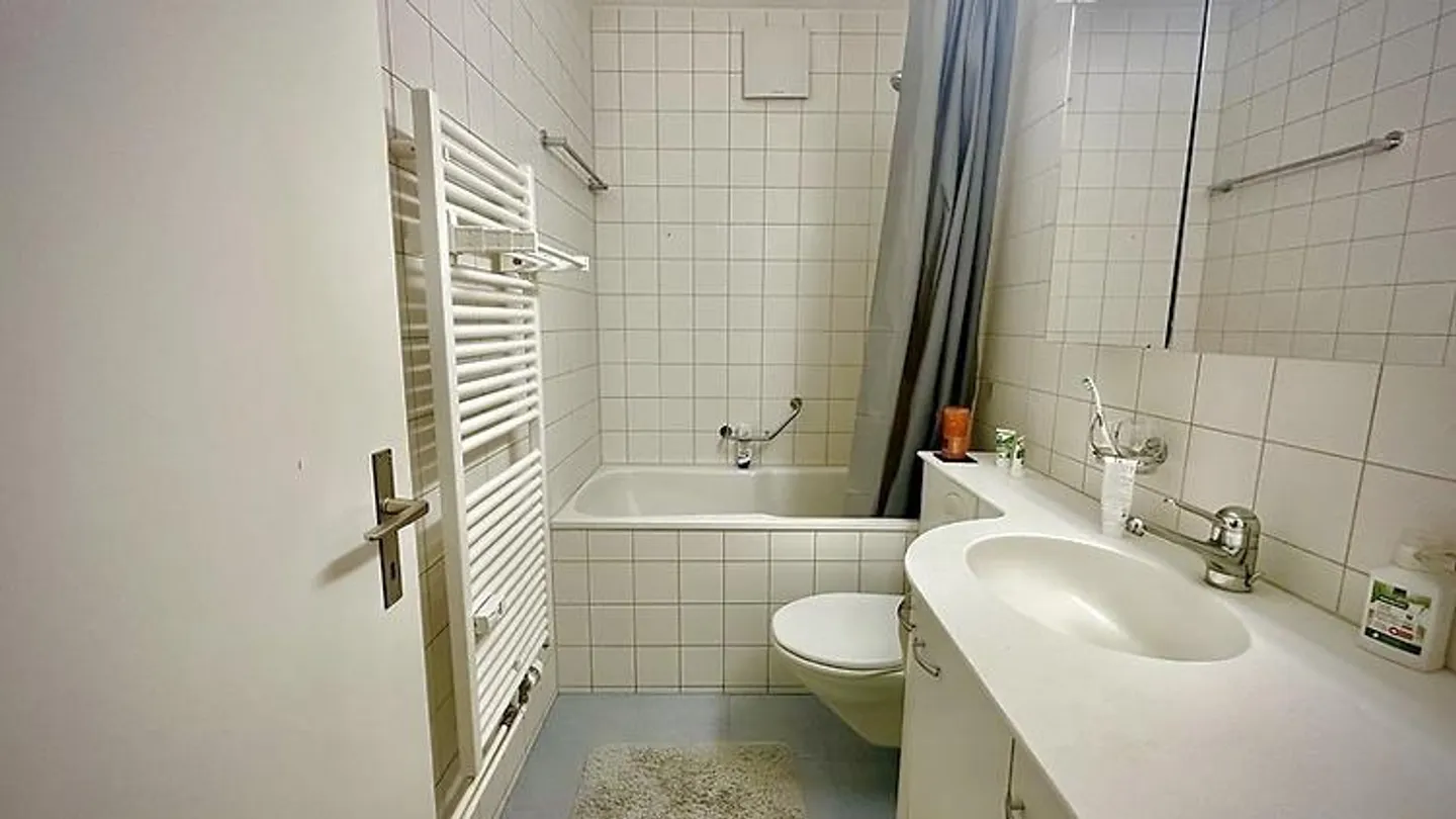 2 ROOM APARTMENT IN BERN - BREITENRAIN, FURNISHED, TEMPORARY - Photo 8 of 9