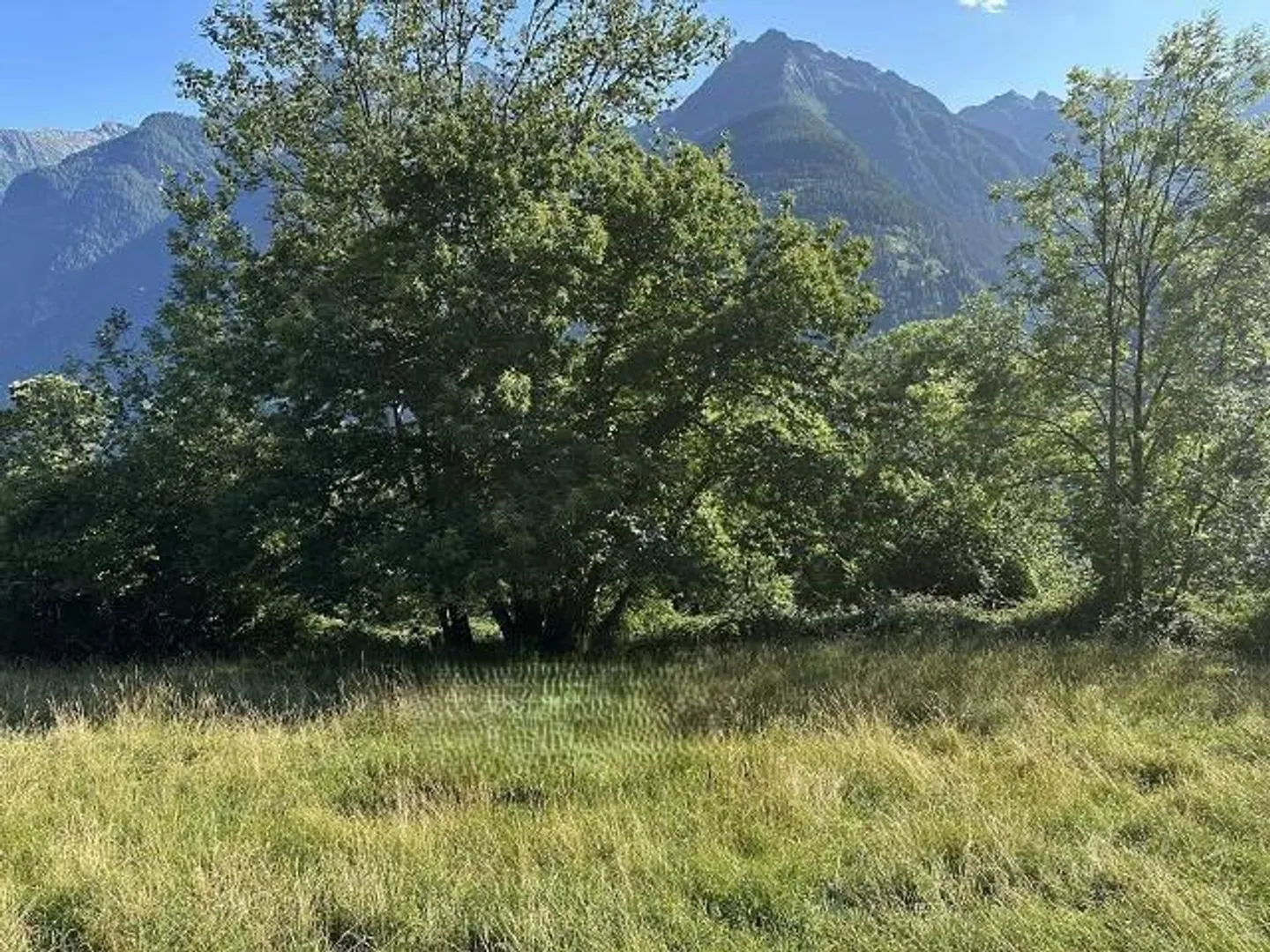 Terreno edificabile di 773 m2 in una posizione molto tranquilla e soleggiata con vista - Foto 4 di 15