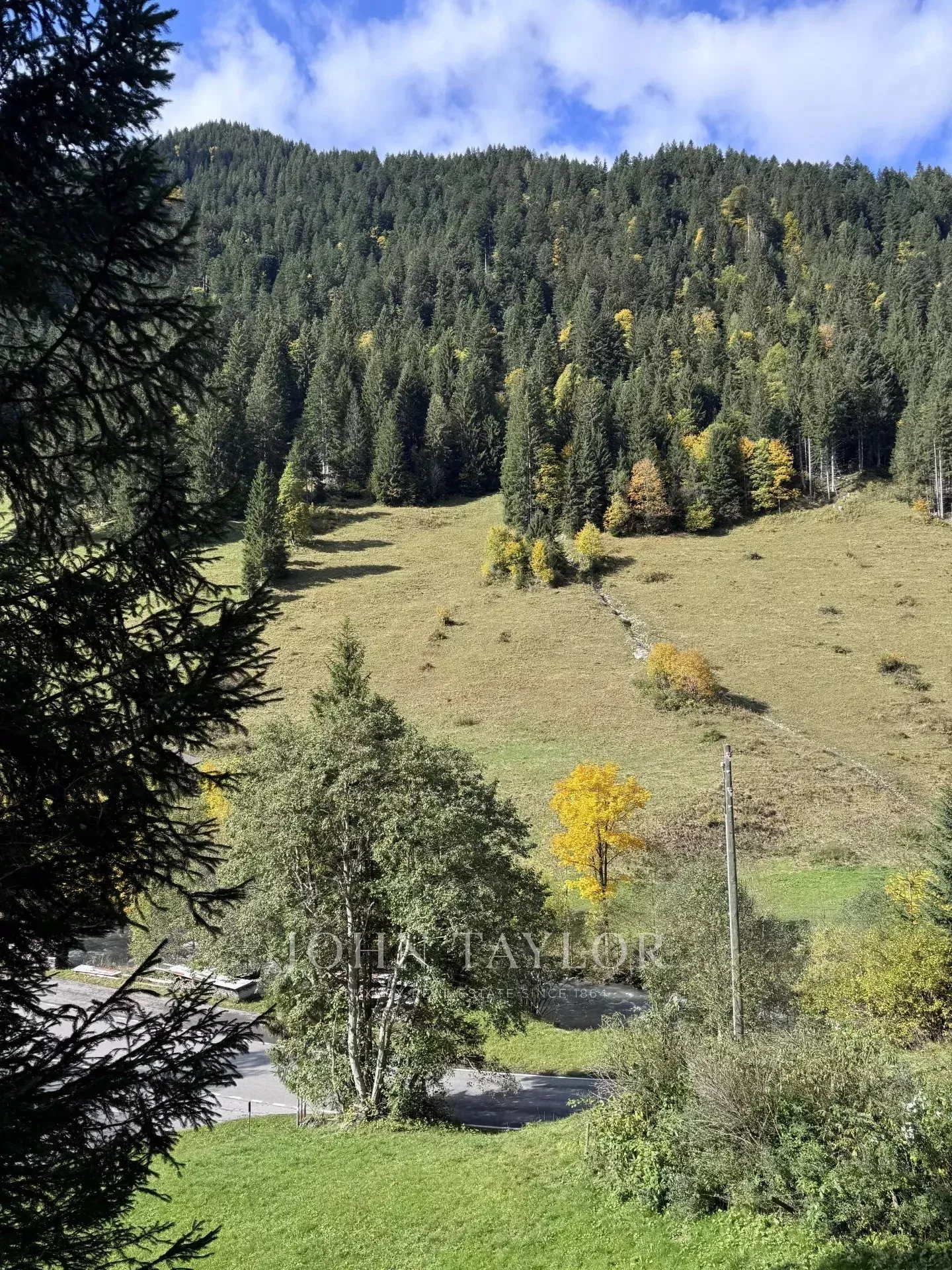 Chalet in Saanen - Photo 28 of 28