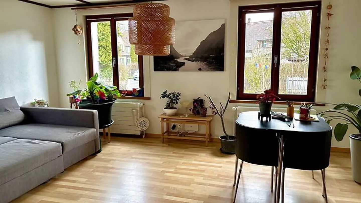 4 ROOM HOUSE IN LANGENTHAL (BE), FURNISHED, TEMPORARY - Photo 4 of 10