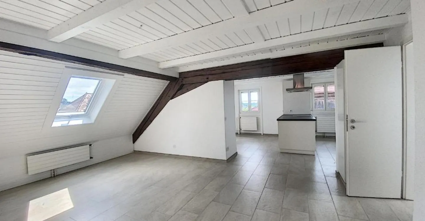 Charming 3.5 Room Apartment - Photo 3 of 10