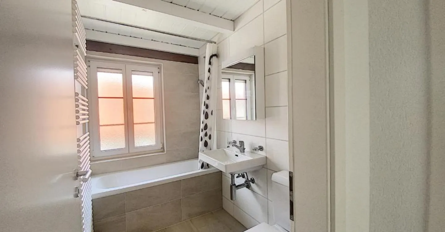 Charming 3.5 Room Apartment - Photo 7 of 10