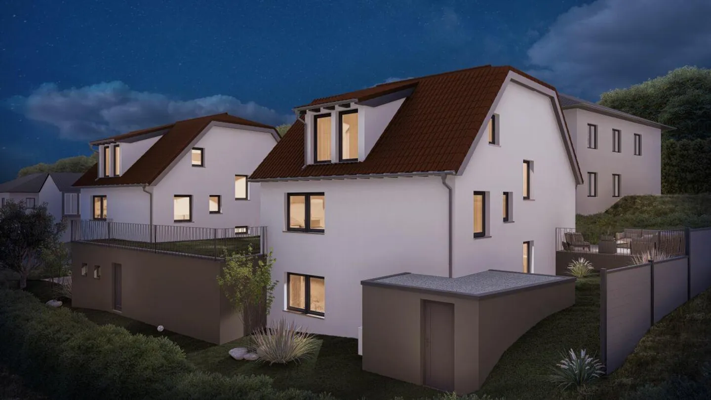 Living close to nature between Basel and Zurich (FOR SALE) - Photo 7 of 8