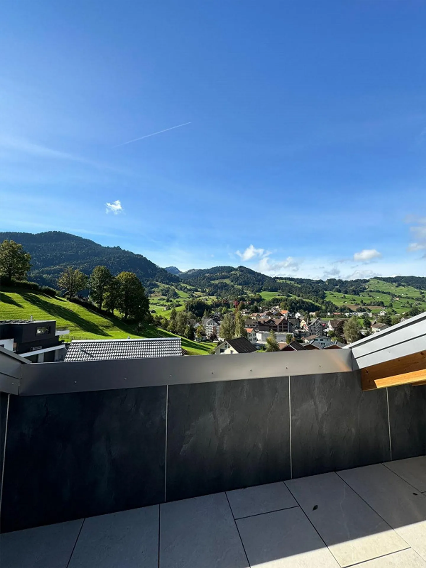 Newly built penthouse apartment in Nesslau with breathtaking views - Photo 4 of 15