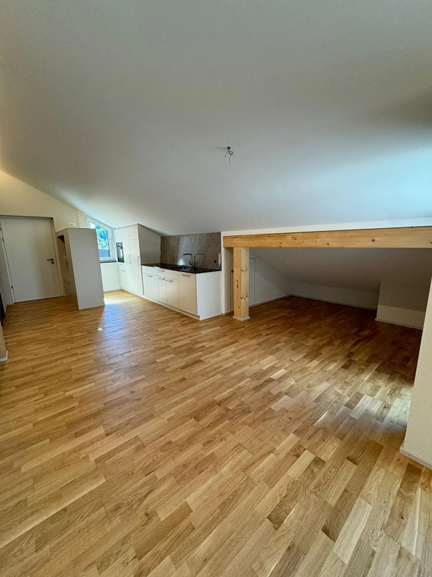 Newly built penthouse apartment in Nesslau with breathtaking views - Photo 6 of 15