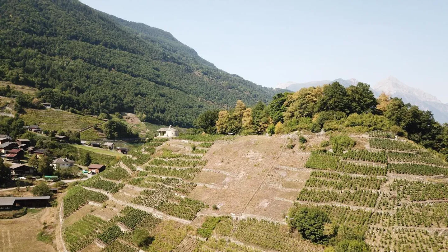 Contesto storico e naturale per eventi esclusivi - Foto 2 di 5