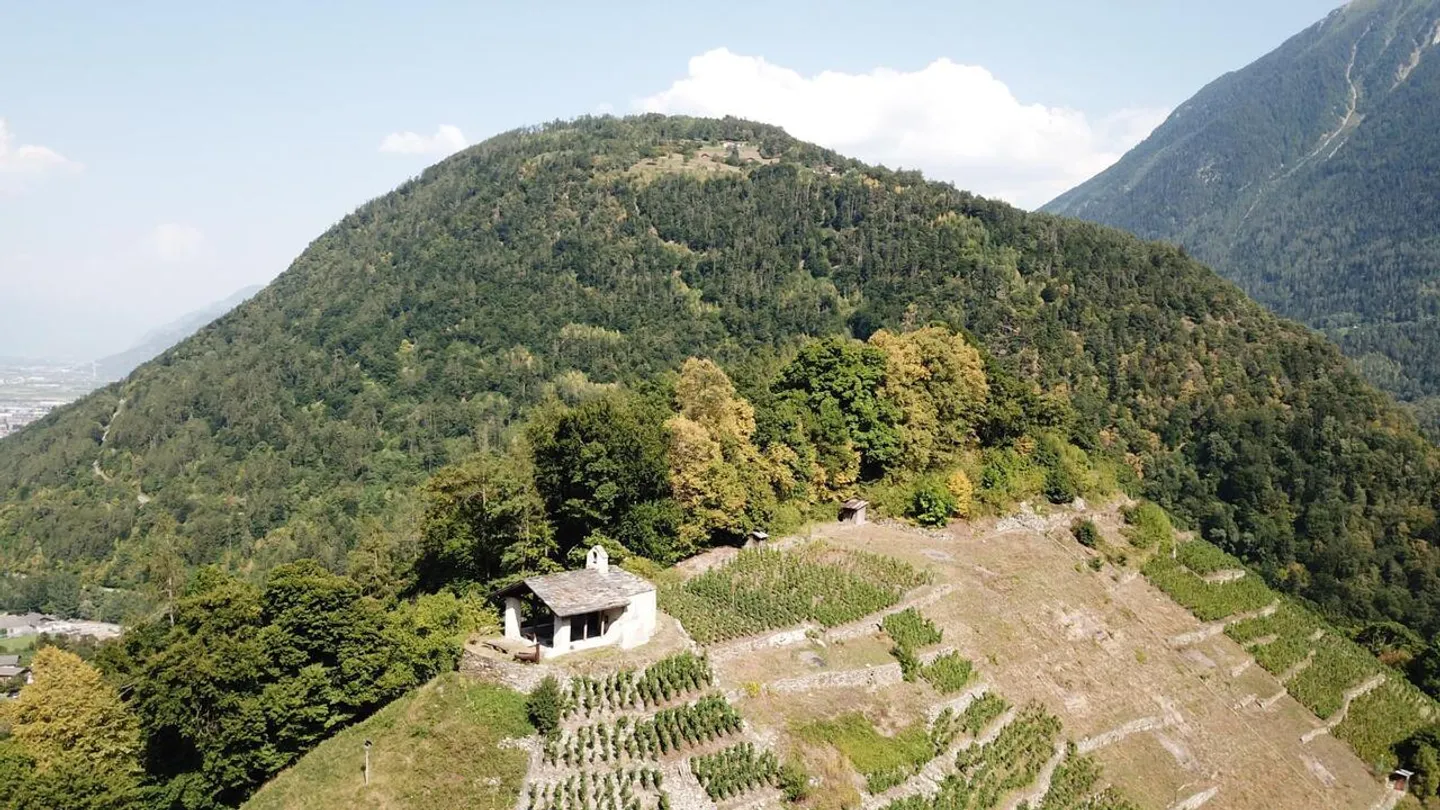 Contesto storico e naturale per eventi esclusivi - Foto 5 di 5