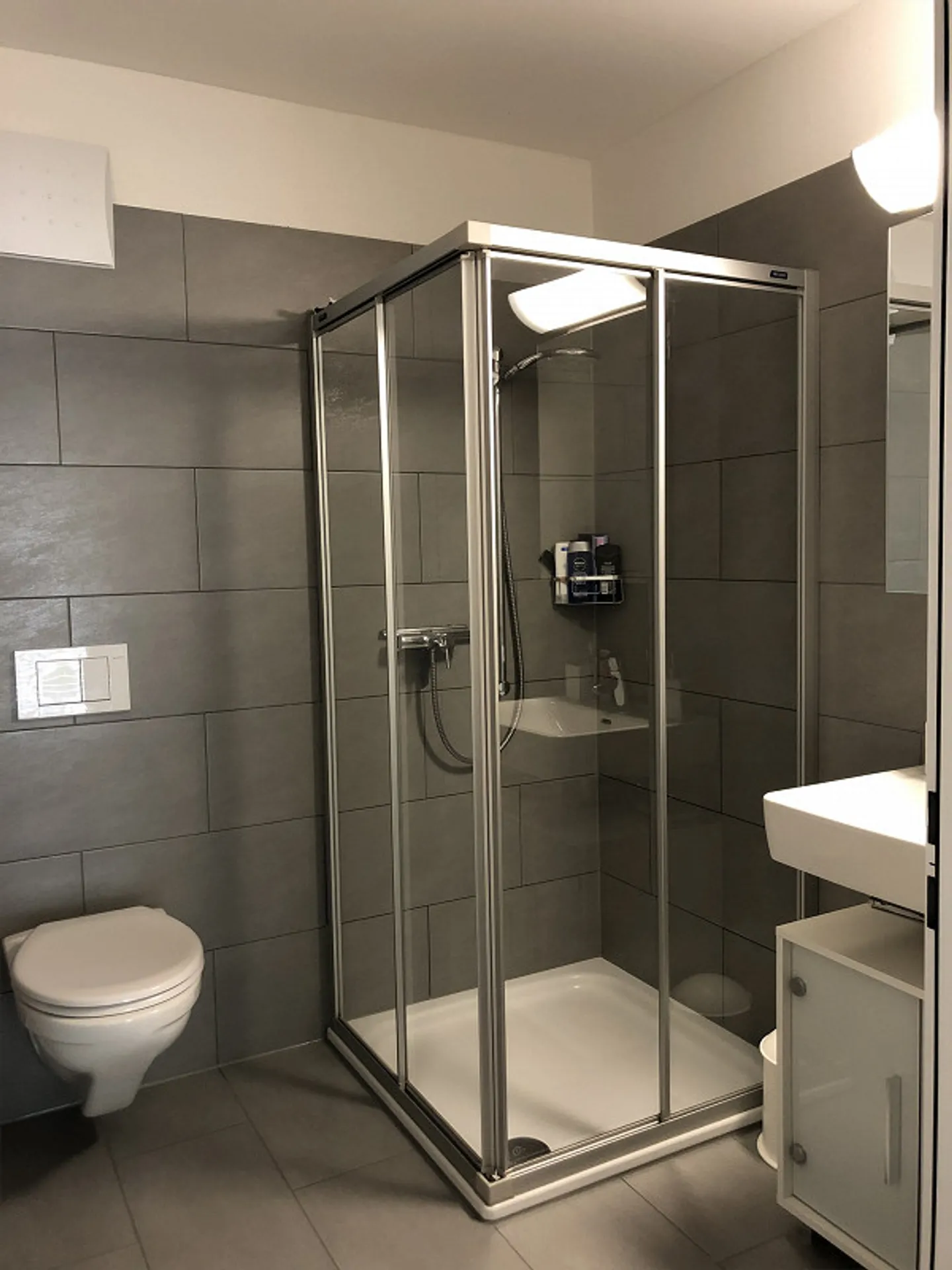 Spacious 4.5-room apartment in a family-friendly neighborhood - Photo 4 of 11