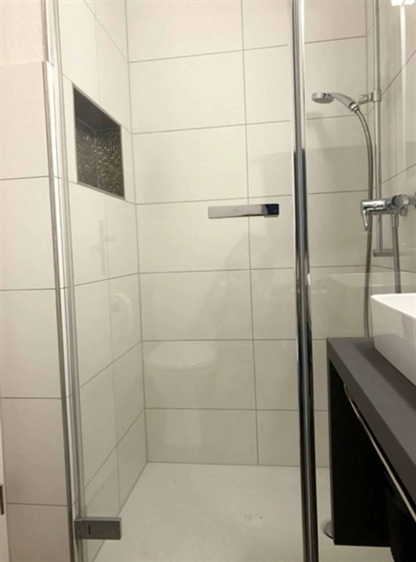 APPARTAMENTO 3 LOCALI A RAPPERSWIL (SG), ARREDATO, TEMPORANEO - Foto 5 di 9