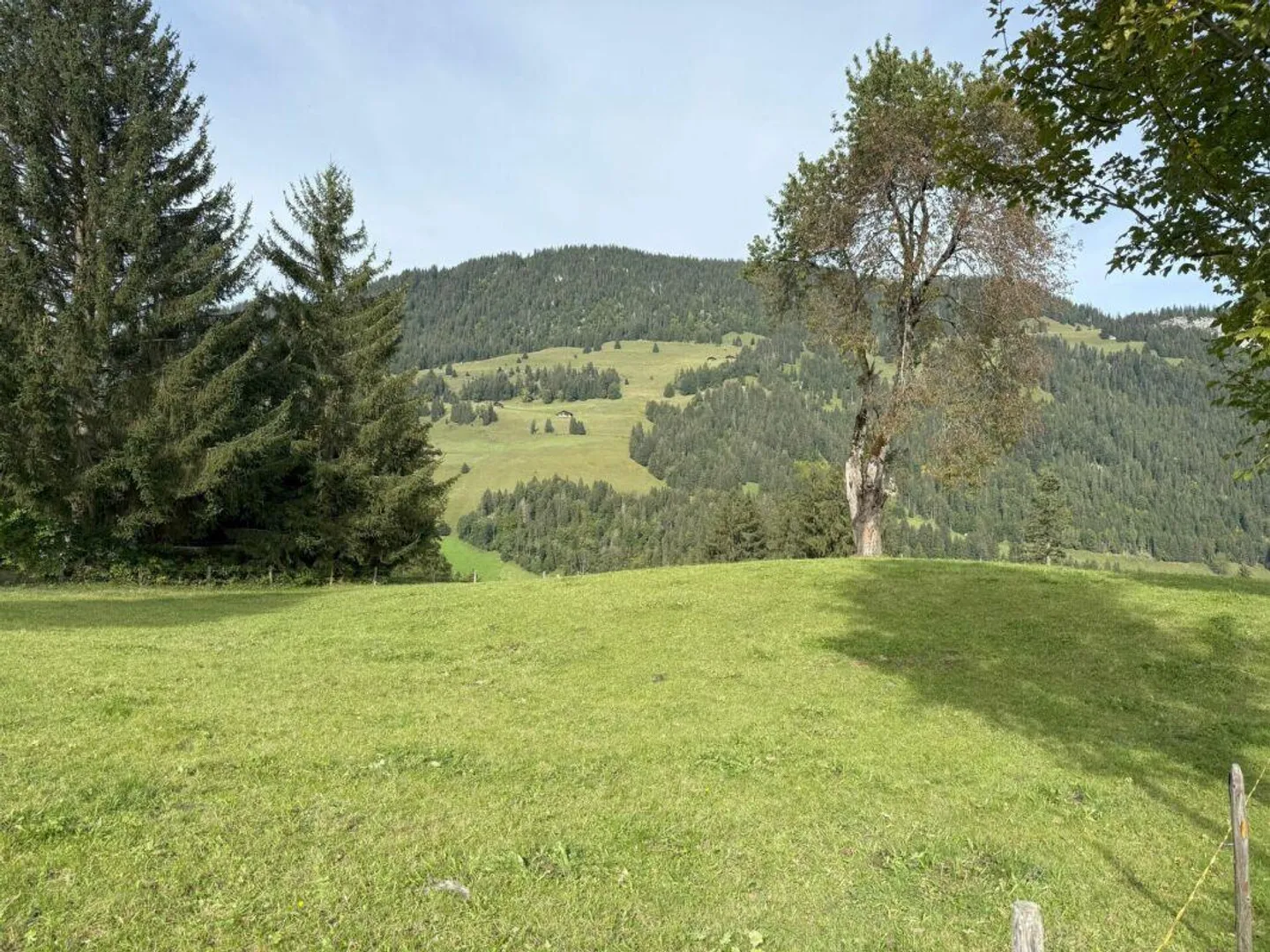 Terreno edificabile al Rinderberg a Zweisimmen per CHF 525.00 al m2 - Foto 1 di 5