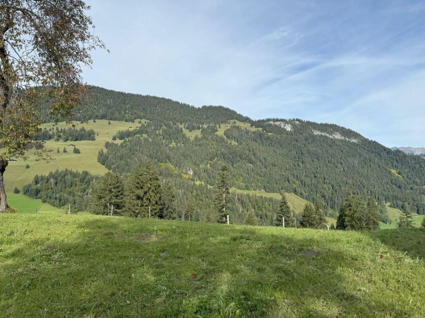 Terreno edificabile al Rinderberg a Zweisimmen per CHF 525.00 al m2 - Foto 2 di 5