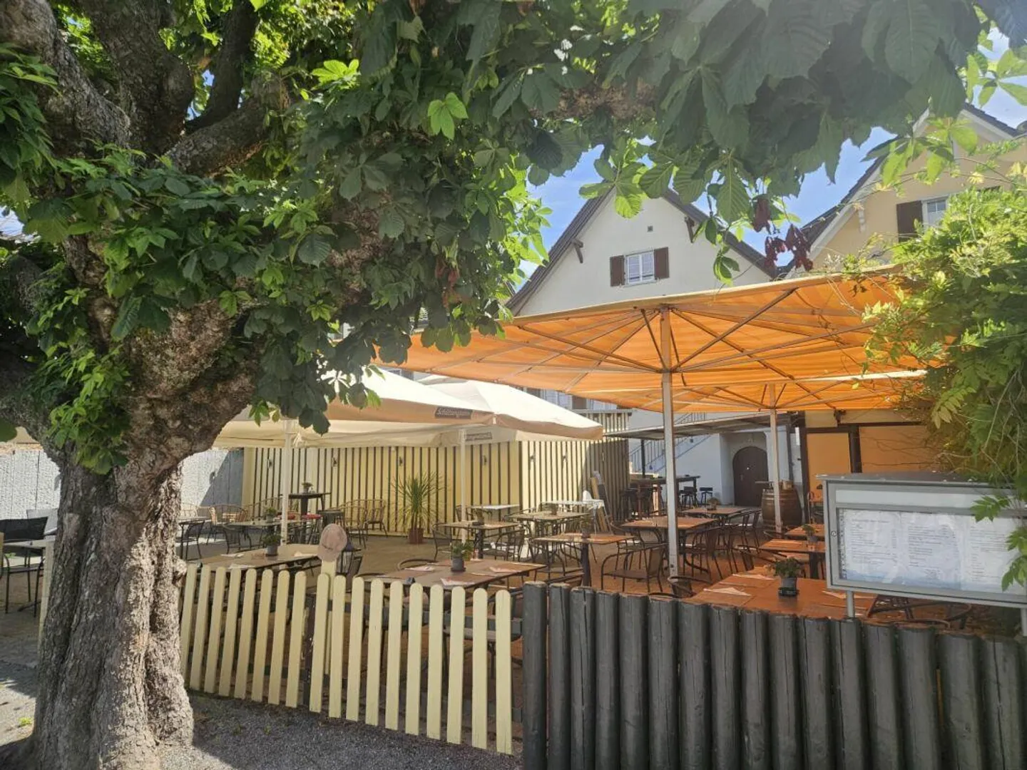 Ristorante Schiff Horn TG - Gastronomia nella migliore posizione sul lago - Foto 10 di 13