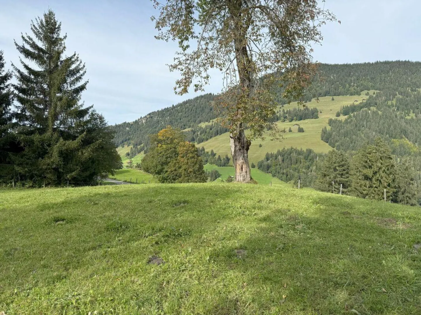 Terreno edificabile al Rinderberg a Zweisimmen per CHF 525.00 al m2 - Foto 4 di 5