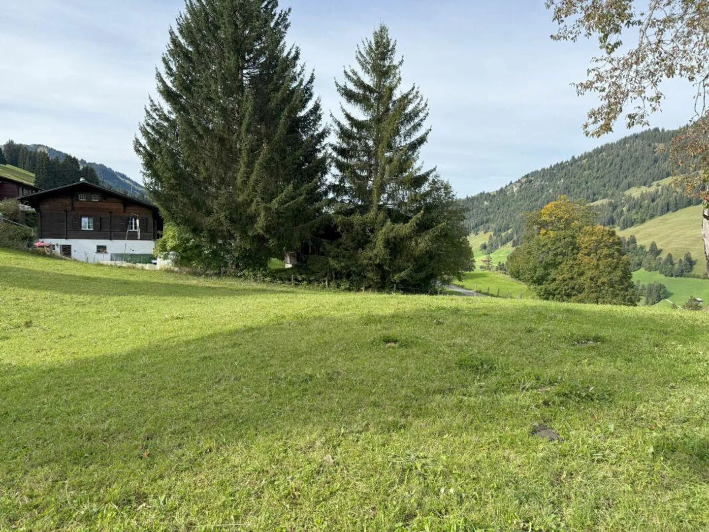 Terreno edificabile al Rinderberg a Zweisimmen per CHF 525.00 al m2 - Foto 5 di 5