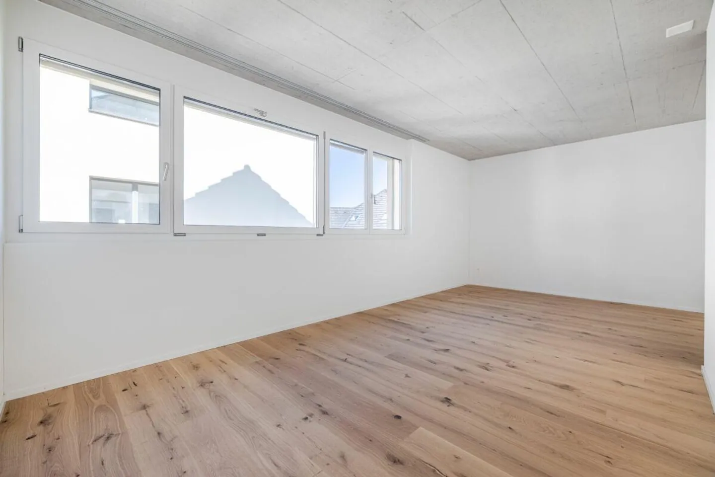 unverbaubare Sicht ins Grün - grosses 6.5-Zi. Einfamilienhaus in Bätershausen (bei Kreuzlingen) - Foto 4 von 11