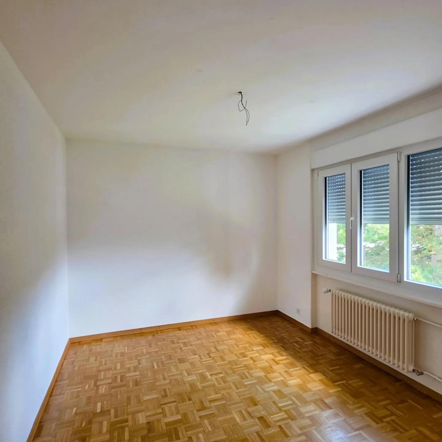 3.5 Room Apartment - Photo 4 of 7